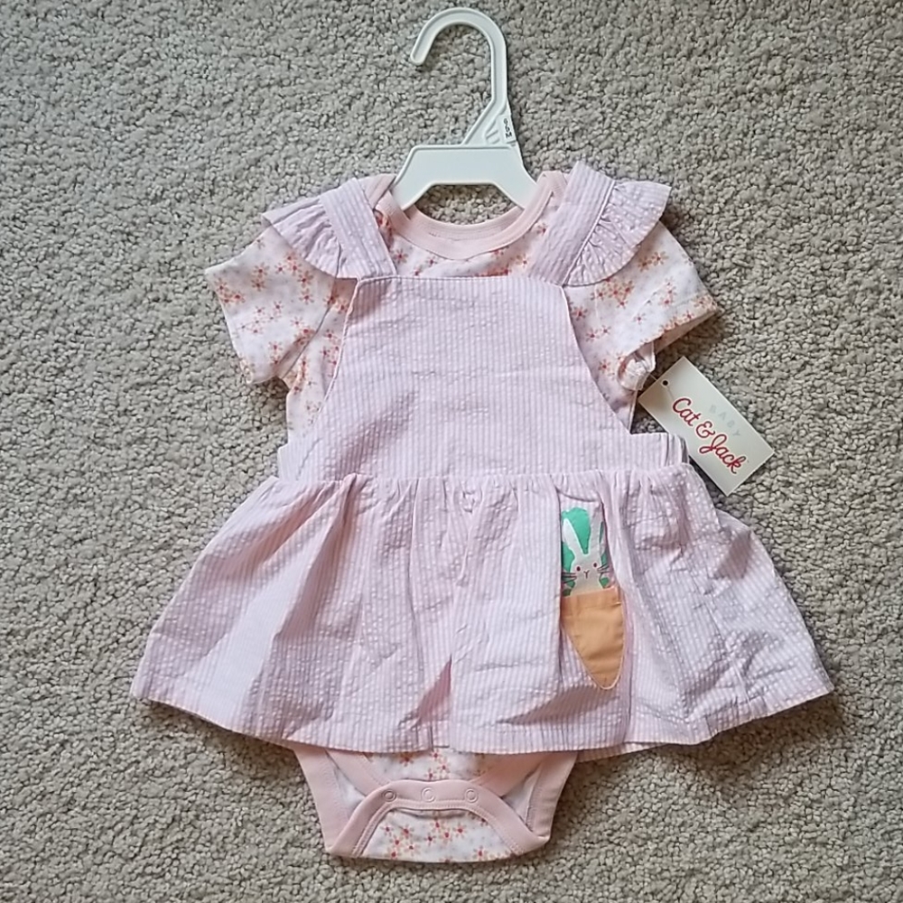 Pink Baby overall dress 2 piece set